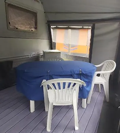 In - Mobile Homes Surrounded By Greenery *
