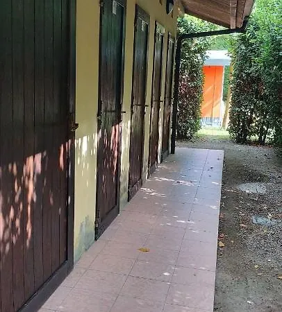In - Mobile Homes Surrounded By Greenery *